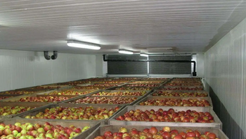 Los elevados volúmenes almacenados de manzana y pera en la Unión Europea generan preocupación entre los exportadores del hemisferio sur. | LMCipolletti.com Los elevados volúmenes almacenados de manzana y pera en la Unión Europea generan preocupación entre los exportadores del hemisferio sur.