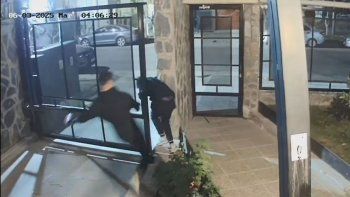 Quedaron registrados por las cámaras de seguridad cuando ingresaron a robar.