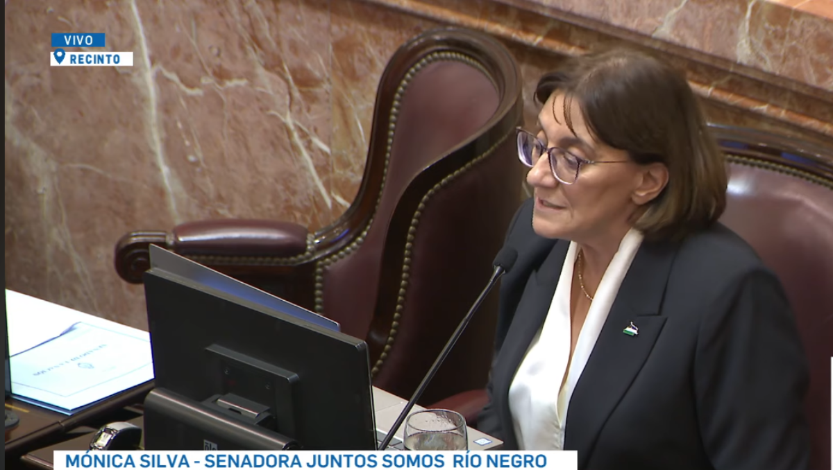 Ley Bases: Mónica Silva defendió su voto positivo en el senado