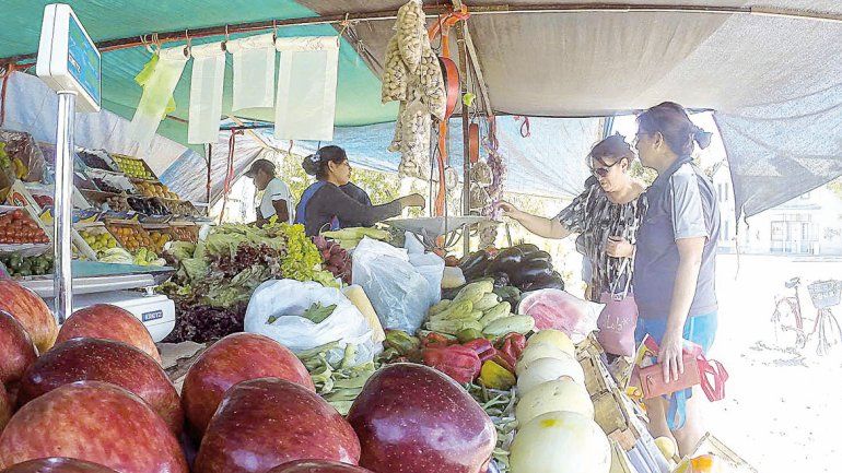 La Muni quiere que las ferias locales copien a Neuquén