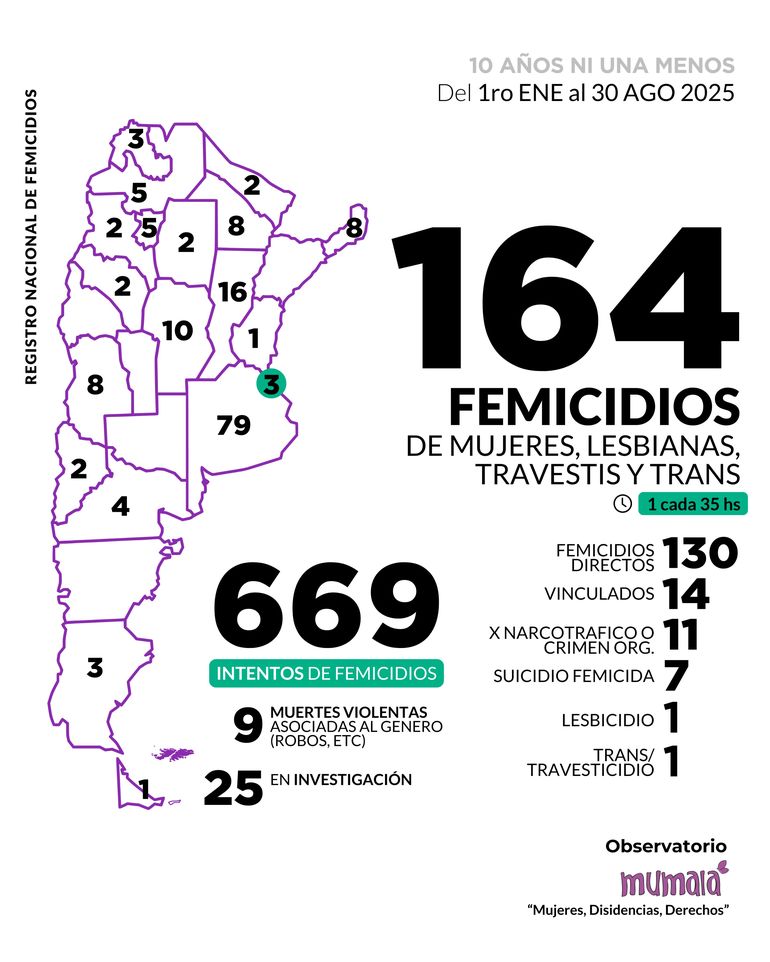 Infografía femicidios en Argentina 2025.