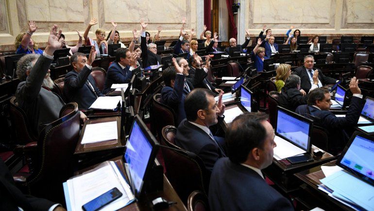 El Senado convirtió en ley el proyecto de emergencia pública