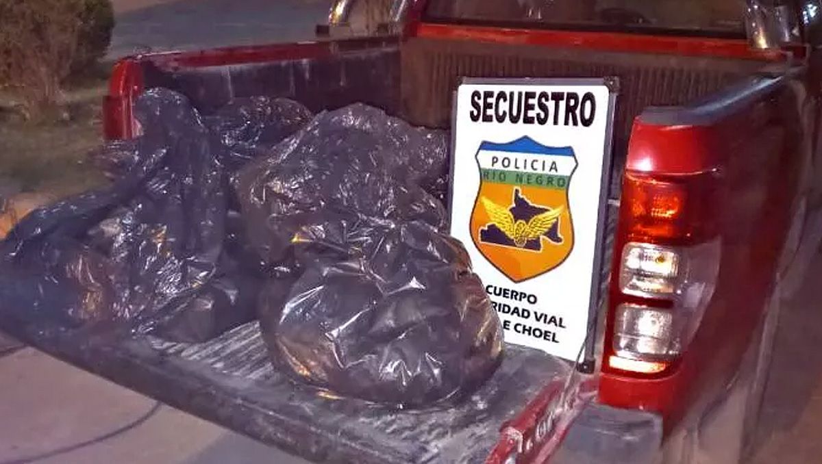Atraparon a un chino con un cargamento ilegal de mariscos