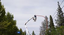 El Municipio de Cipolletti licitará la compra de 3000 focos LED.