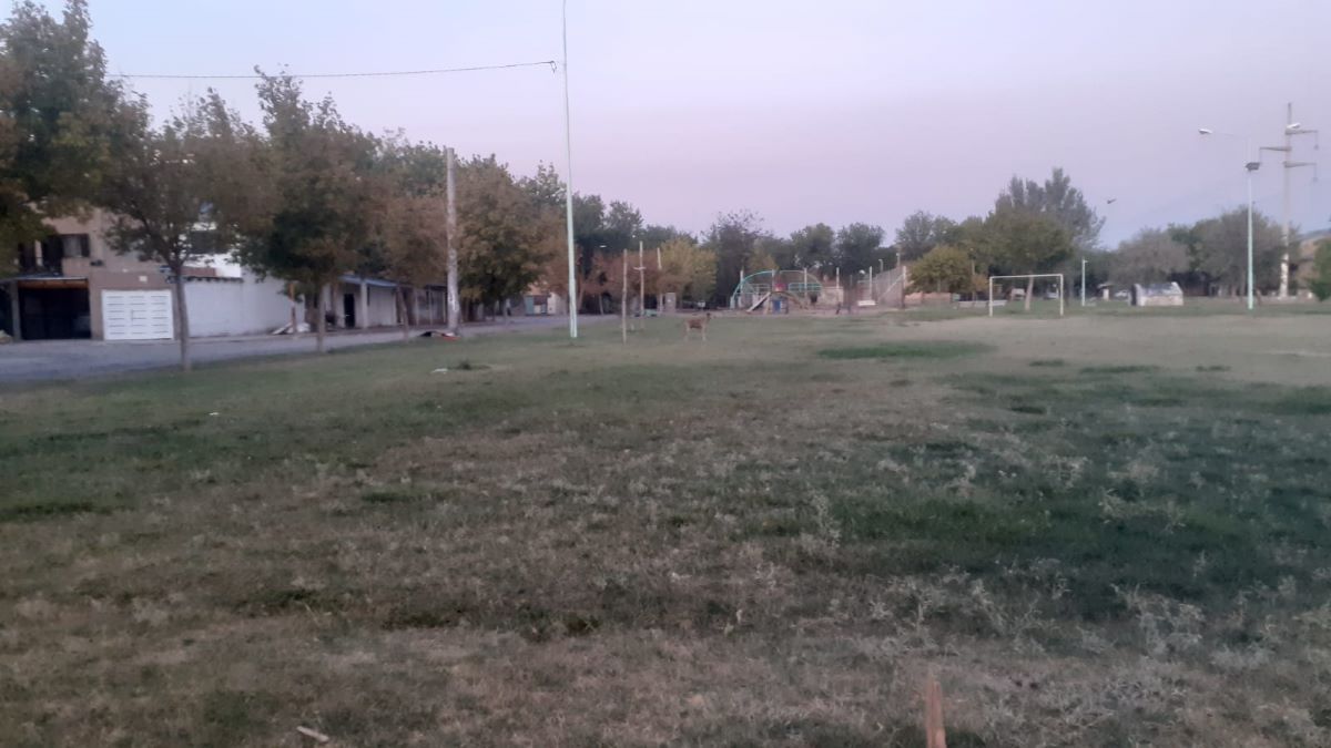 Investigan el asesinato de un joven en las 1200 Viviendas