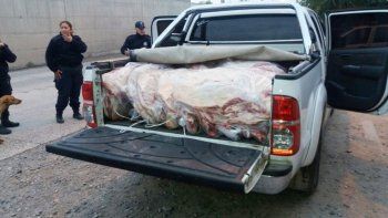 Apenas una lona tapaba la carne que dos hermanos traían en una Toyoya Hilux. El otro implicado viajaba solo.
