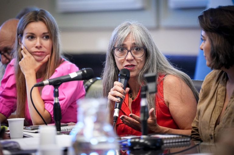 La diputada nacional, Adriana Serquis (Unión por la Patria) presentó el pedido de informes a través de la comisión de Relaciones Exteriores y Culto.
