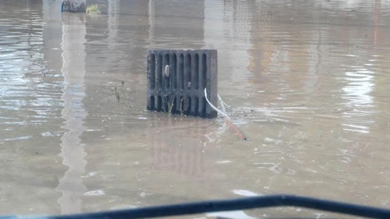 Alcantarilla. Arrancada por vecinos.