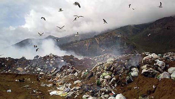 Se durmió en un contenedor y murió aplastado por el camión de basura 