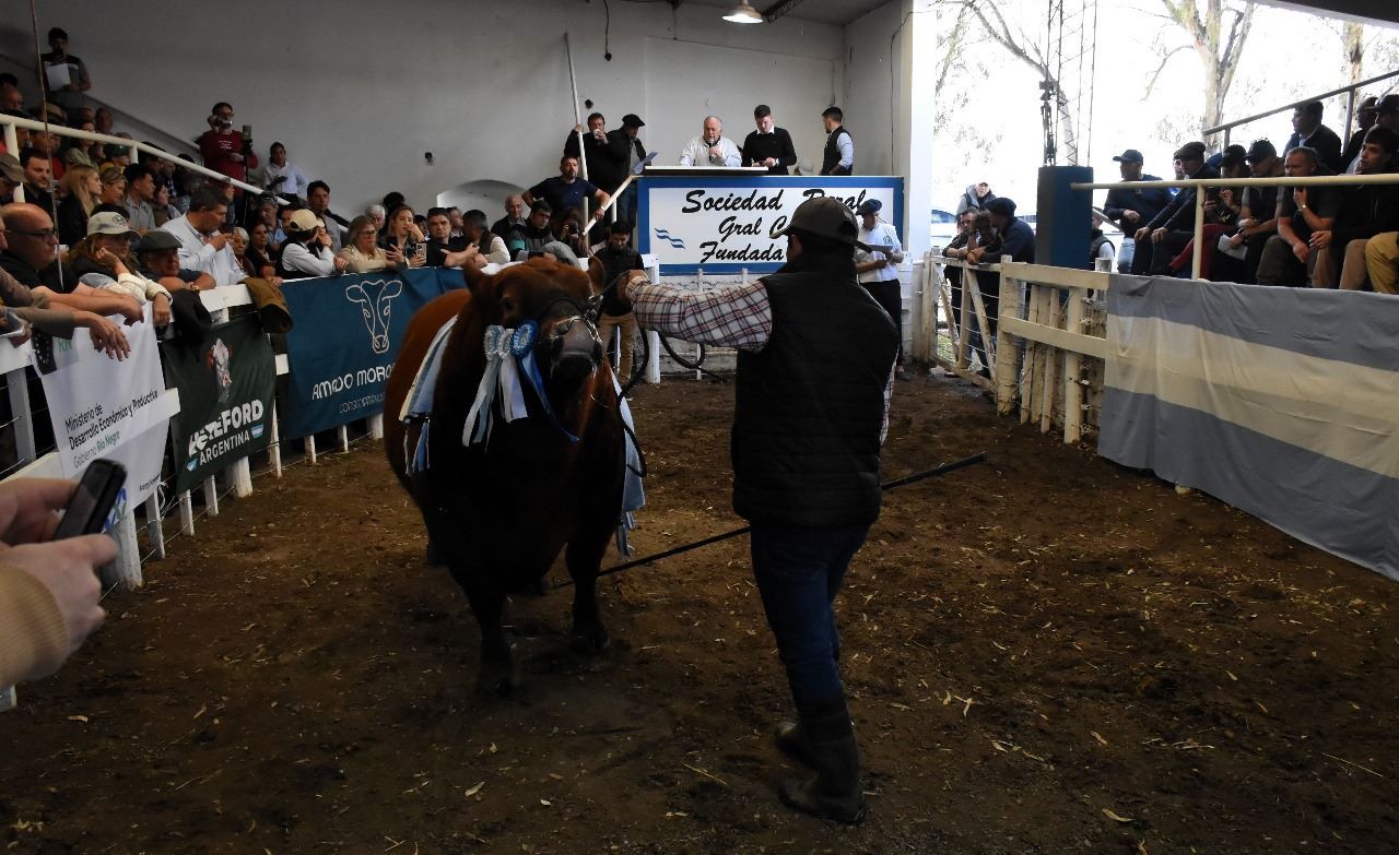 Expo Rural de Conesa: debate por la barrera sanitaria