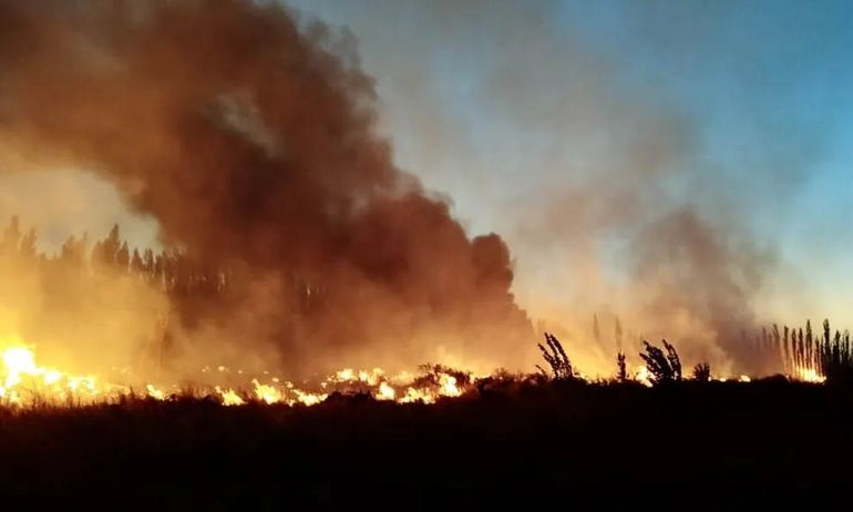 Dos incendios se registraron durante el fin de semana en el Valle Medio. Los contuvieron el personal del SPLIF.