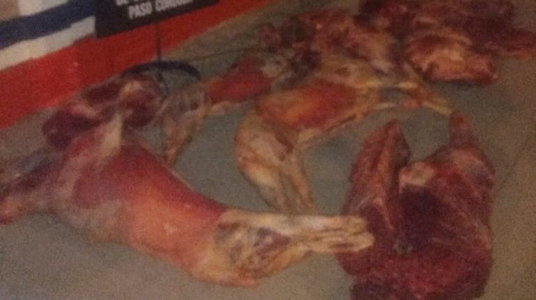 Decomisaron 260 kilos de carne y los donaron a una protectora de animales
