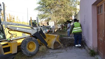 El Cipo Limpia 2026 comenzó este jueves. Foto: Estefanía Petrella.
