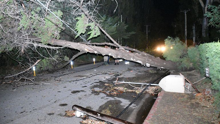 El terrible temporal de lluvia y viento provocó un sinnúmero de daños e inconvenientes en Cipolletti. 