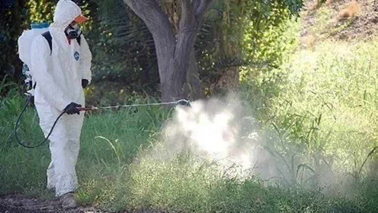 Fumigador fue condenado por intoxicar a una perra