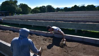 Preparación de la tierra en cajones de cemento para la plantación. Foto: El País