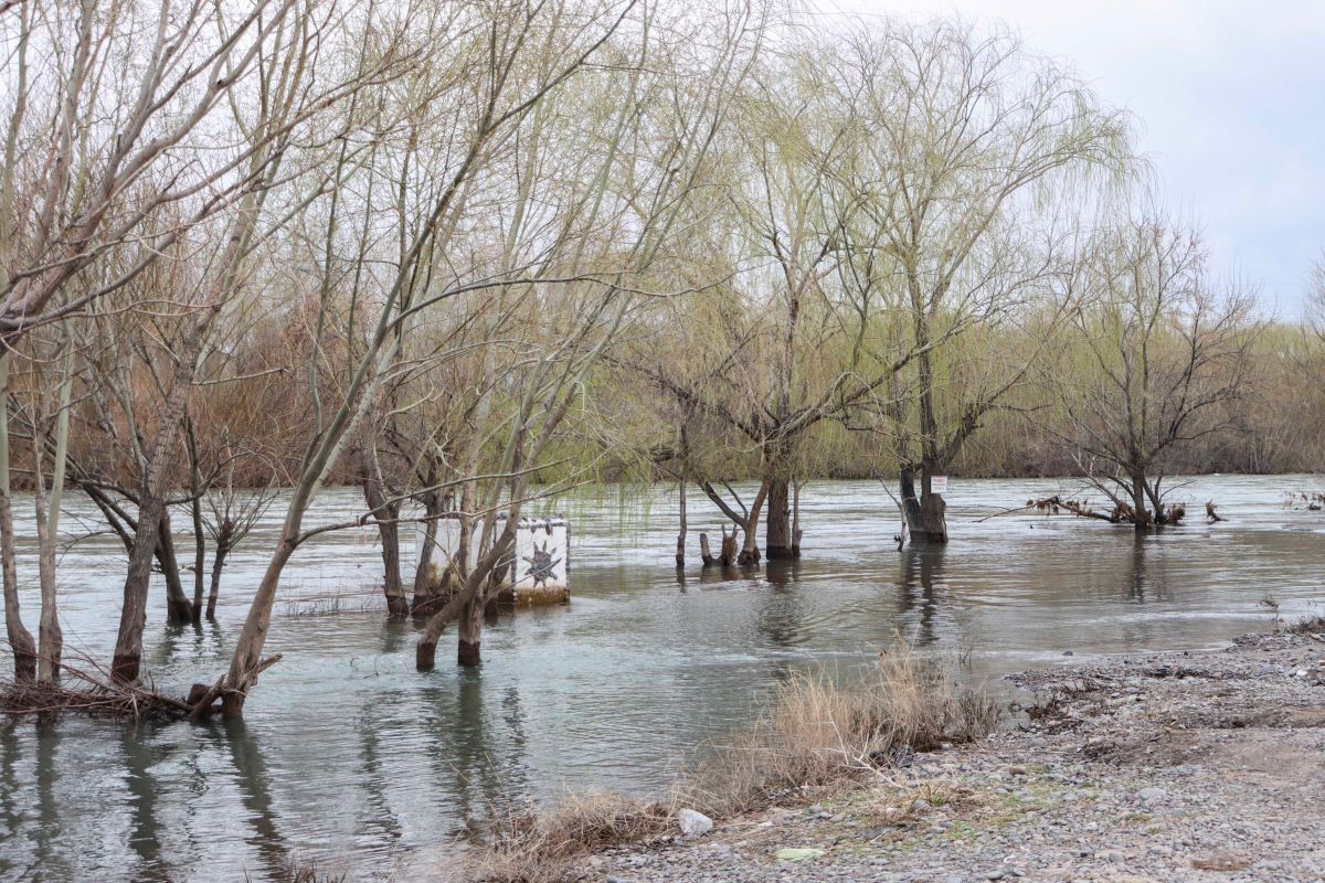 Notable bajante del río Neuquén