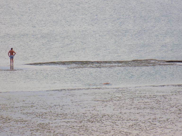 Mar agradable, bajo un cielo nuboso. El calor de diciembre todo lo puede.