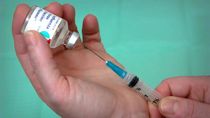 meningitis en cipolletti: advierten el riesgo de no vacunarse