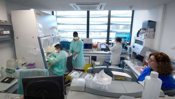 Coronavirus en Brasil.&nbsp;