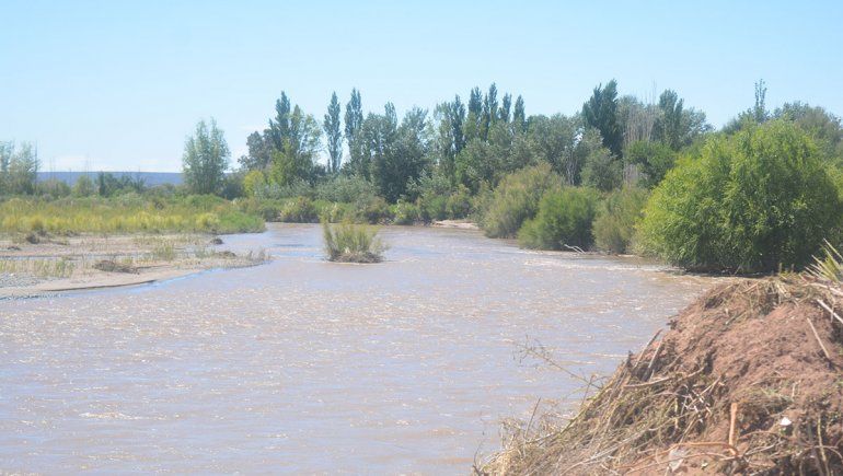 Milagroso rescate de dos niños en el río Colorado