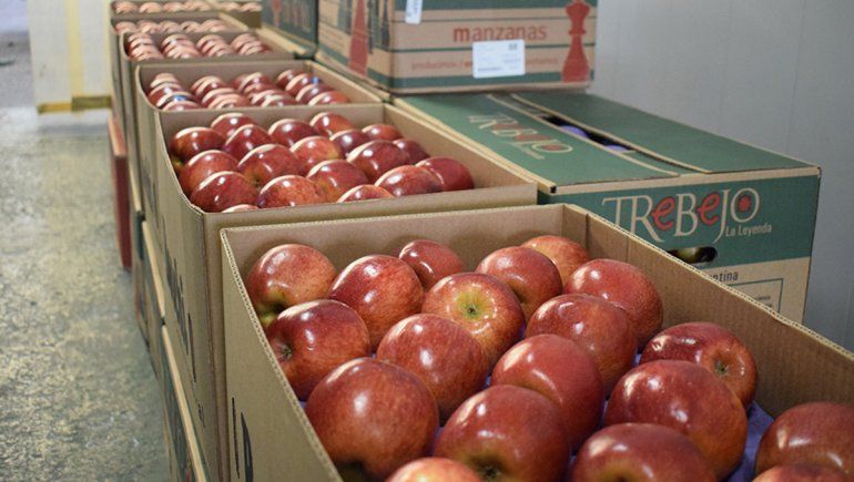 Por ahora sigue firme el mercado de peras y manzanas