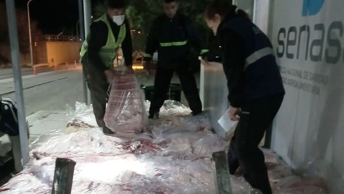 Lo atraparon queriendo cruzar con 700 kilos de carne de contrabando