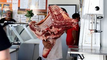 La carne con hueso podrá ingresar a la Patagonia, sin embargo sostienen que la merma de los precios no serán considerables.