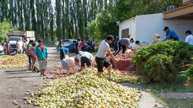 Una gran cantidad de peras y manzanas fue tirada por los productores ayer frente a la Secretaría de Fruticultura.