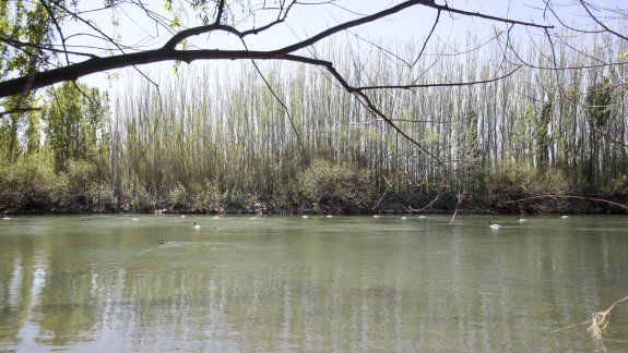 ¿La caída del camión afecta la planta de agua potable?