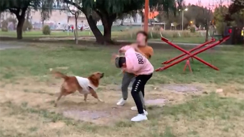 Peleas en los colegios.