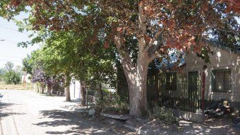 conflicto vecinal en el cgt por un arbol que destruyo una vereda