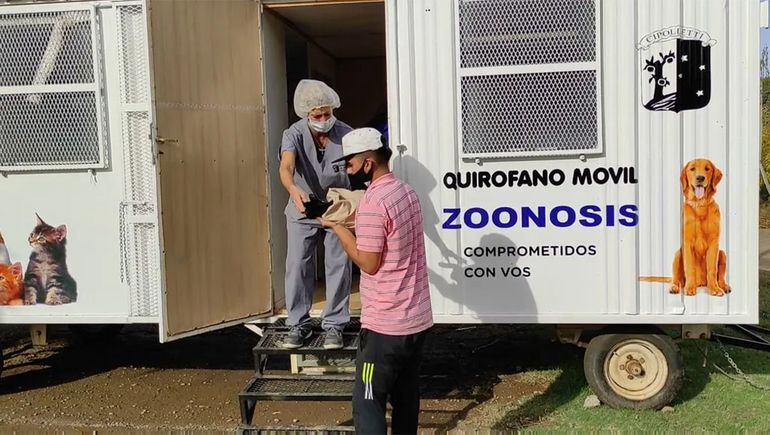 Las castraciones en Cipolletti se llevan adelante durante todo el año. Esta es una medida para prevenir proliferación de enfermedades y tener control sobre la población de las mascotas.