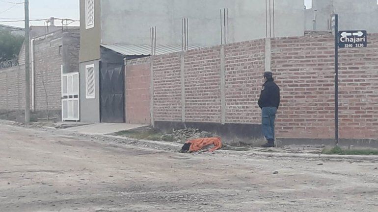 Preocupación en Neuquén por el hallazgo de siete perros envenenados