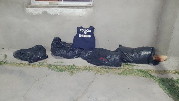 Llevaba 300 kilos de carne en bolsas y le decomisaron todo