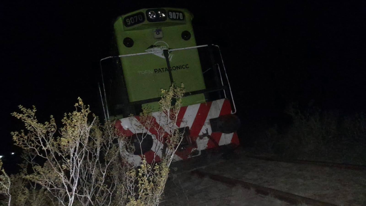 Descarriló el Tren Patagónico tras impactar con una vaca.