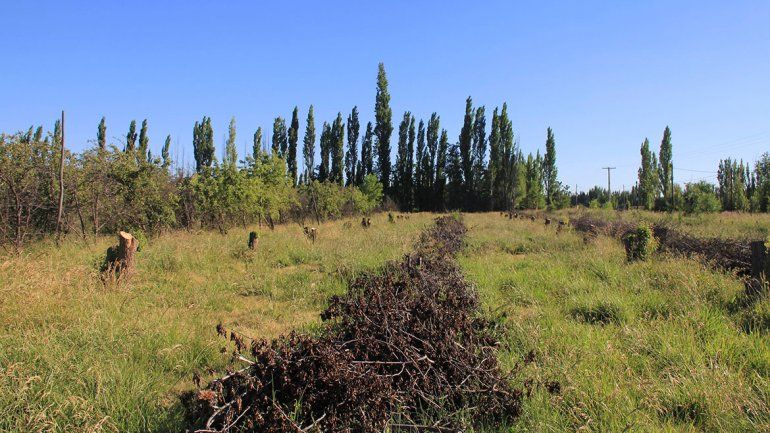 Los productores no pueden trabajar por la crisis frutícola y económica.