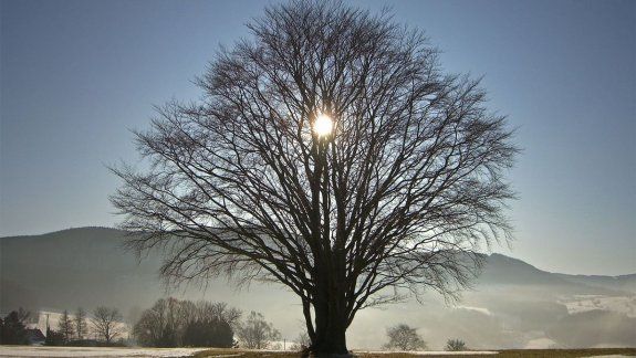 Solsticio de invierno: cambio de estación y limpieza espiritual
