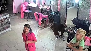 La peluquera se quitó la vida tras caer en una estafa. Foto: captura de video TN. | LMCipolletti.com La peluquera se quitó la vida tras caer en una estafa. Foto: captura de video TN.