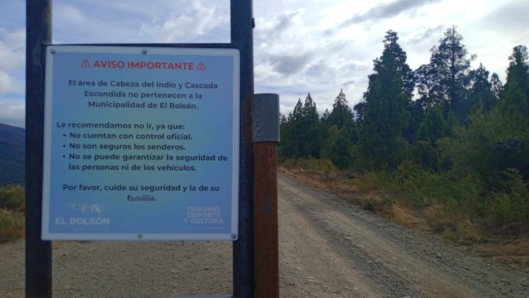 Durante recorridas preventivas, se identificó a dos mayores y un menor que estaban talando Ciprés dentro del área.