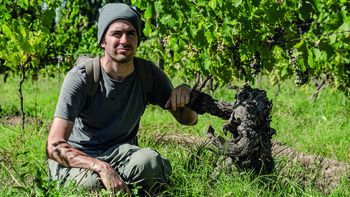 Guillermo Olivera, autor de Terroir de la Patagonia | LMCipolletti.com Guillermo Olivera, autor de Terroir de la Patagonia