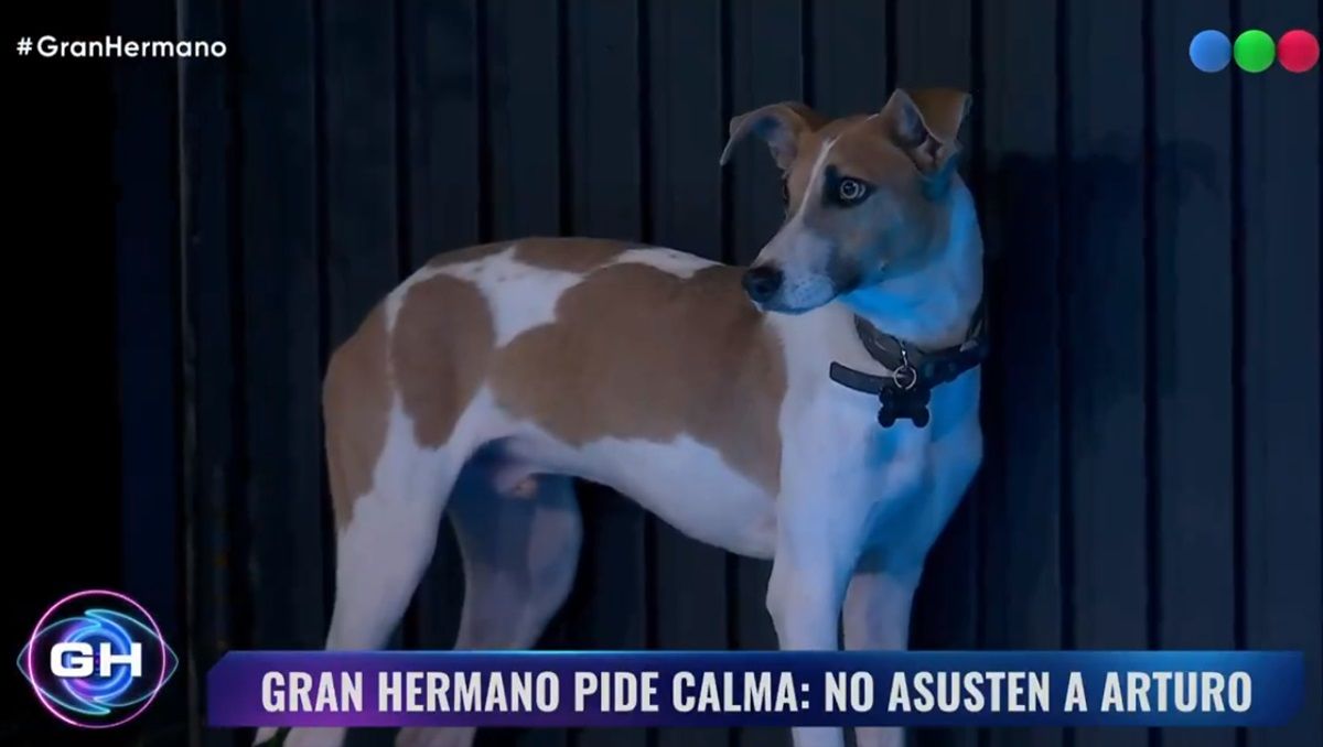 Sorpresa en Gran Hermano: entró Arturo y hubo emoción en los jugadores