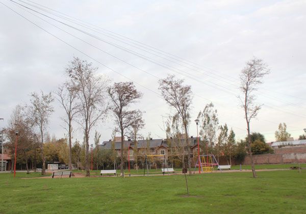 Instalan el primer juego inclusivo en una plaza cipoleña
