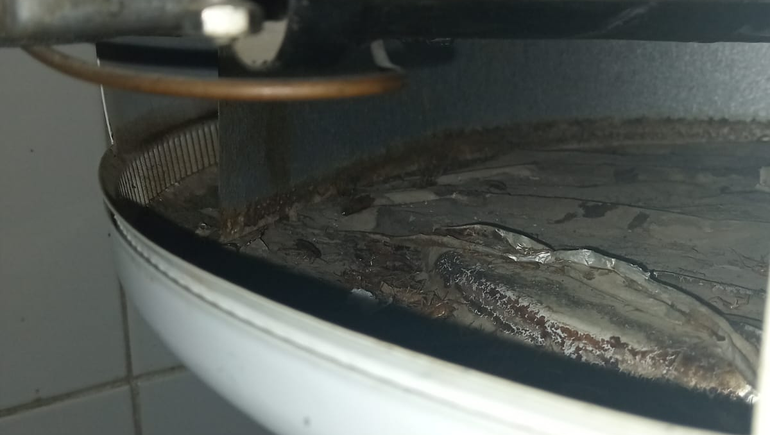Se encontraron cucarachas en el termotanque y sectores de la cocina de la escuela.