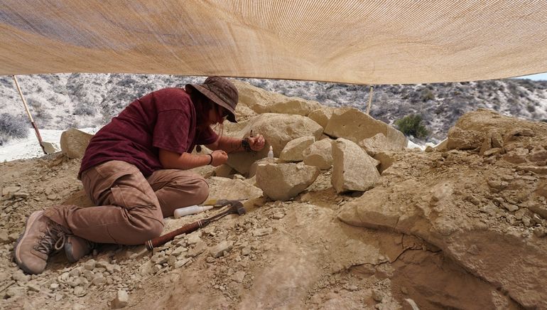 El hallazgo se confirmó en la Formación Allen. Foto: Gentileza.