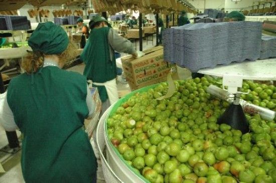 Trabajo convocó la paritaria frutícola para el lunes 15