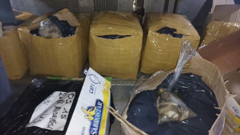 Senasa secuestró una encomienda con 600 kg de pulpa de ostras