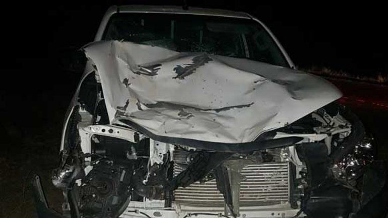 Chocaron contra un caballo sobre la Ruta 151 y se salvaron de milagro