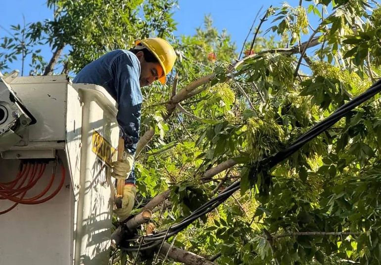 Hasta el jueves sin luz en zonas de Oro y Cipolletti