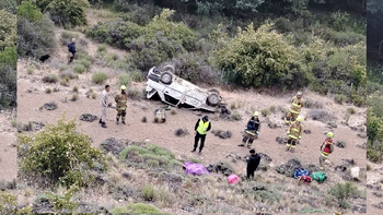 El conductor sufrió heridas leves mientras que los otros dos ocupantes de vehículo murieron en el acto.&nbsp;